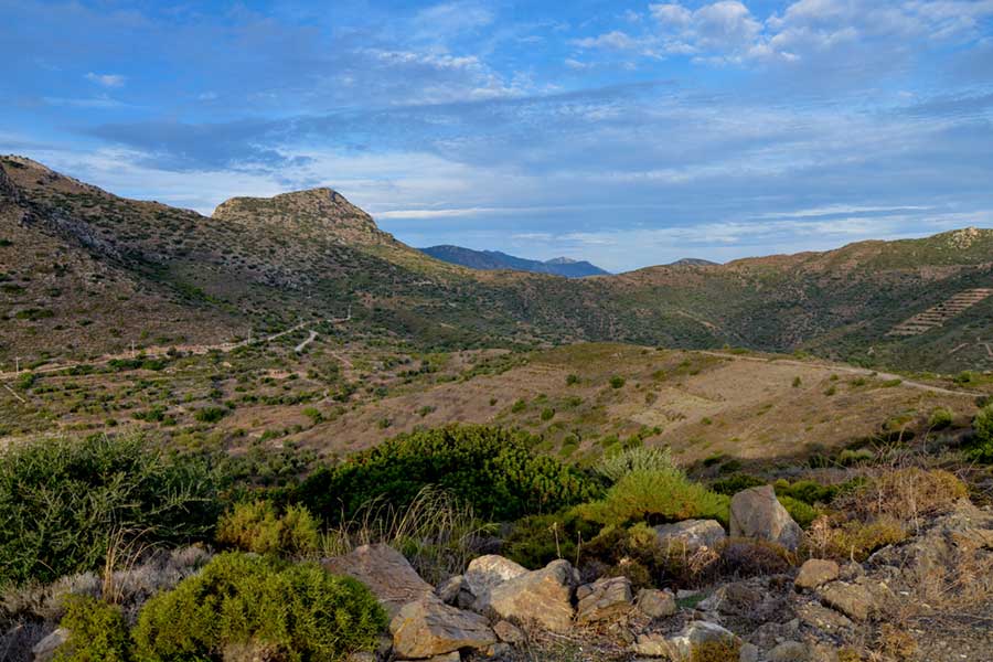 Olive and almond trees on the terraces of Baglarozu valley Mediterranean coast of Datca peninsula, Knidos, Turkey