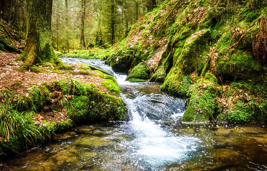 Waterfall green forest river stream landscape