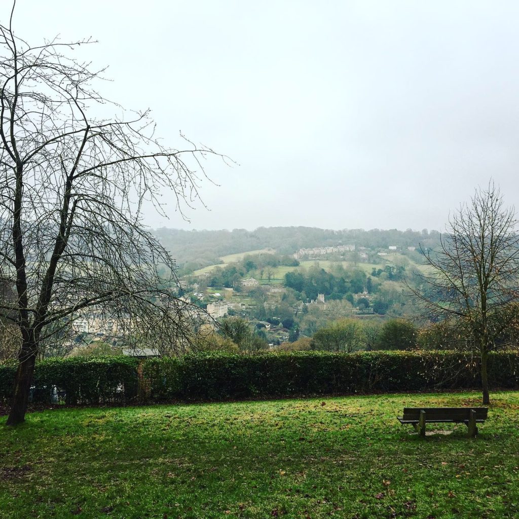 Countryside view with green fields, bare trees and a hill in the background